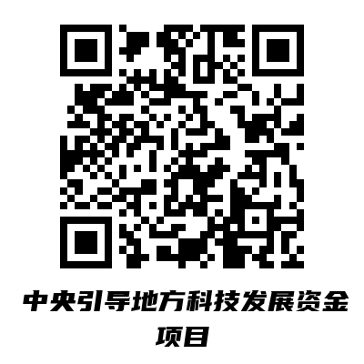 中央引导地方科技发展资金项目.png