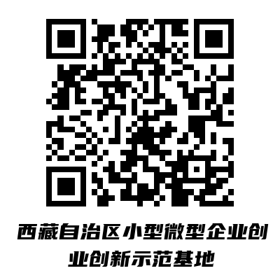 西藏自治区小型微型企业创业创新示范基地.png