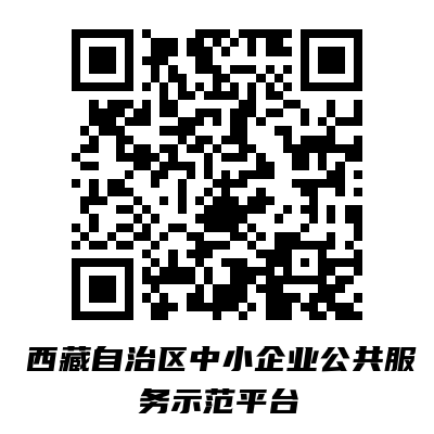 西藏自治区中小企业公共服务示范平台 .项目概述.png